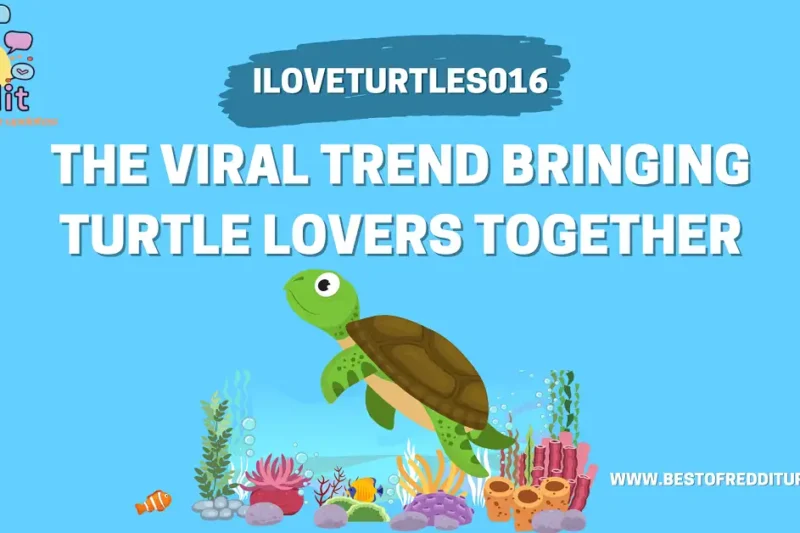iloveturtles016